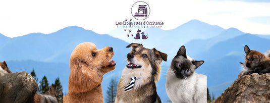 Les Croquettes d'Occitanie — Chiens et Chats